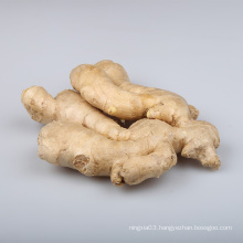 2020 China air dried ginger wholesale price